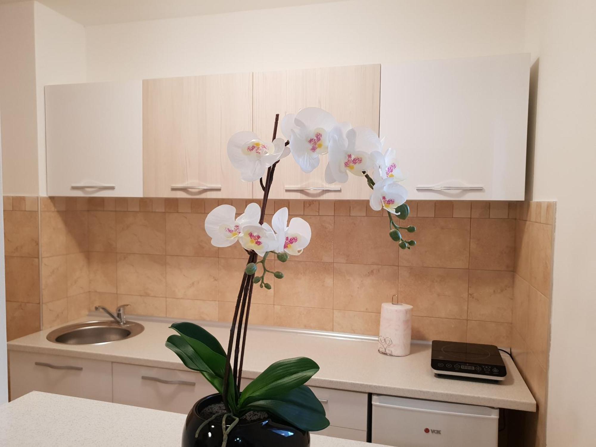 Apartman Kej Free Parking Kraljevo Exteriér fotografie